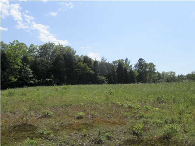 Lot 2 Harrison Ferry Road, Unit 2 Baneberry, TN 37890 - Photo 13 of 15 Additional Photo