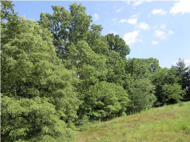 Lot 2 Harrison Ferry Road, Unit 2 Baneberry, TN 37890 - Photo 14 of 15 Additional Photo