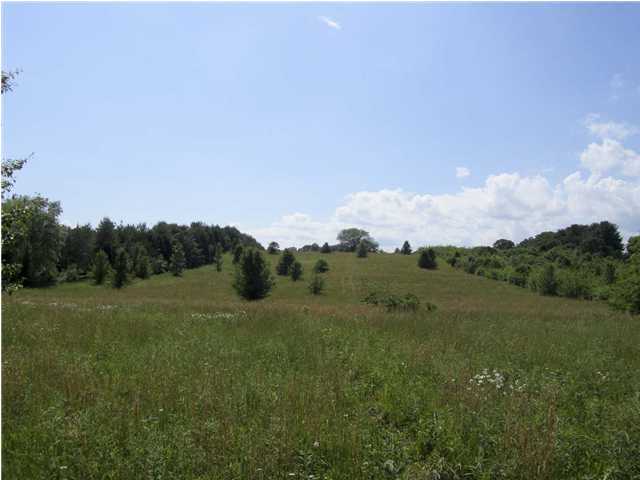 Lot 2 Harrison Ferry Road, Unit 2 Baneberry, TN 37890 - Photo 15 of 15 Additional Photo