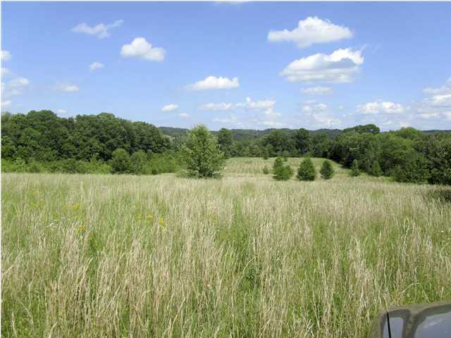 Lot 2 Harrison Ferry Road, Unit 2 Baneberry, TN 37890 - Photo 5 of 15 Additional Photo