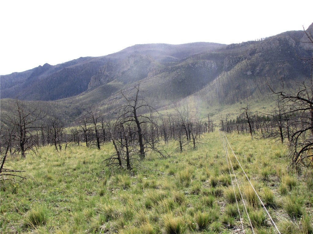 Tbd Tbd Ranger Way Red Lodge, MT 59068 - Photo 14 of 37 Gallery Image 14