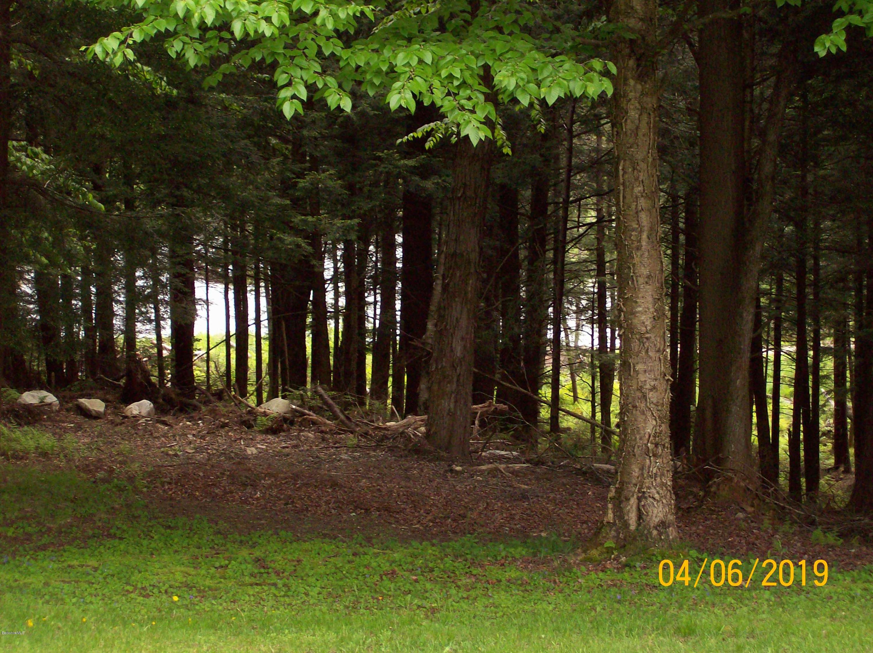 450 Michaels Road Hinsdale, MA 01235 - Photo 32 of 39 100_5434 450M
