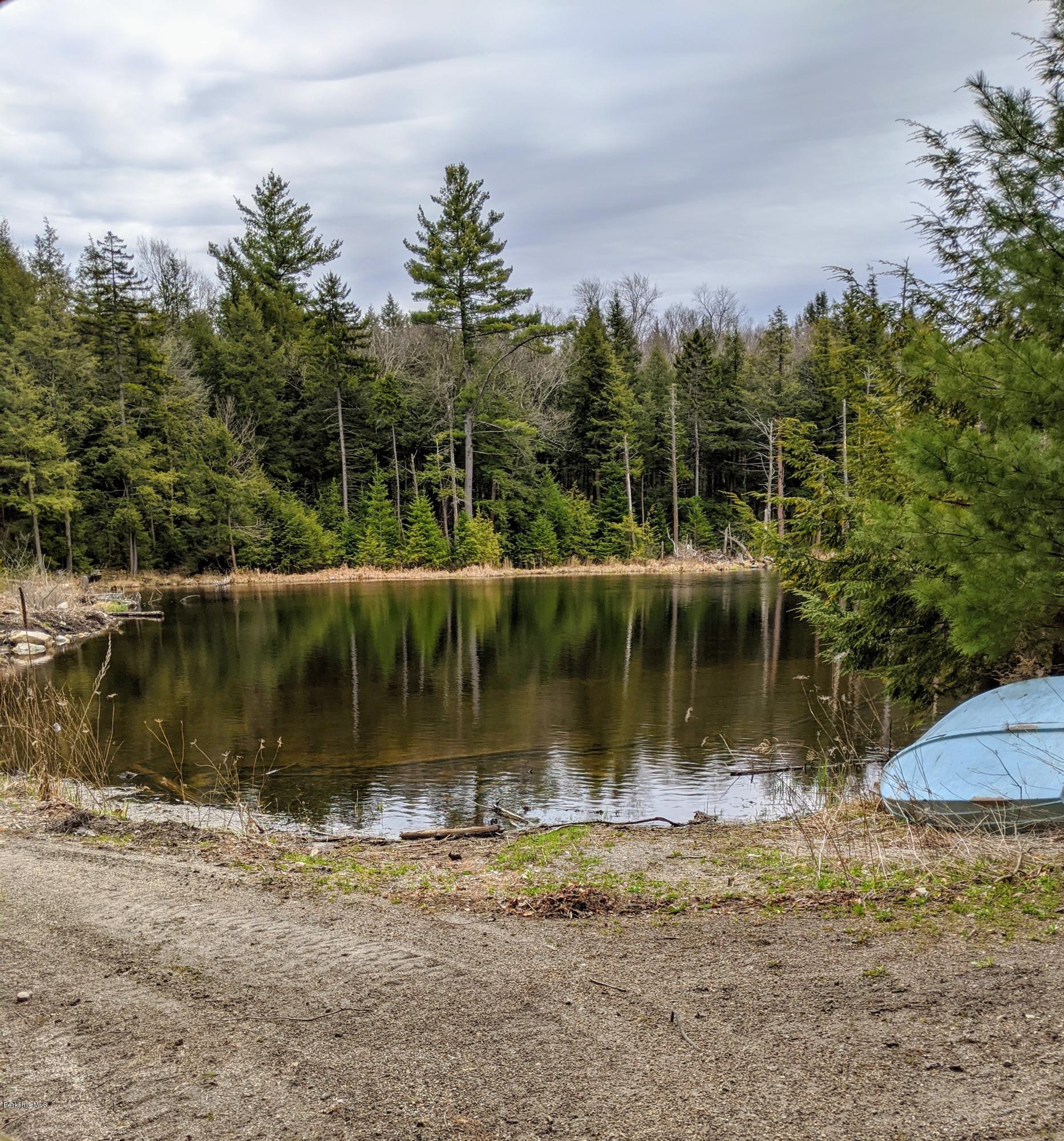 450 Michaels Road Hinsdale, MA 01235 - Photo 33 of 39 IMG_20200429_134318 Trout pond