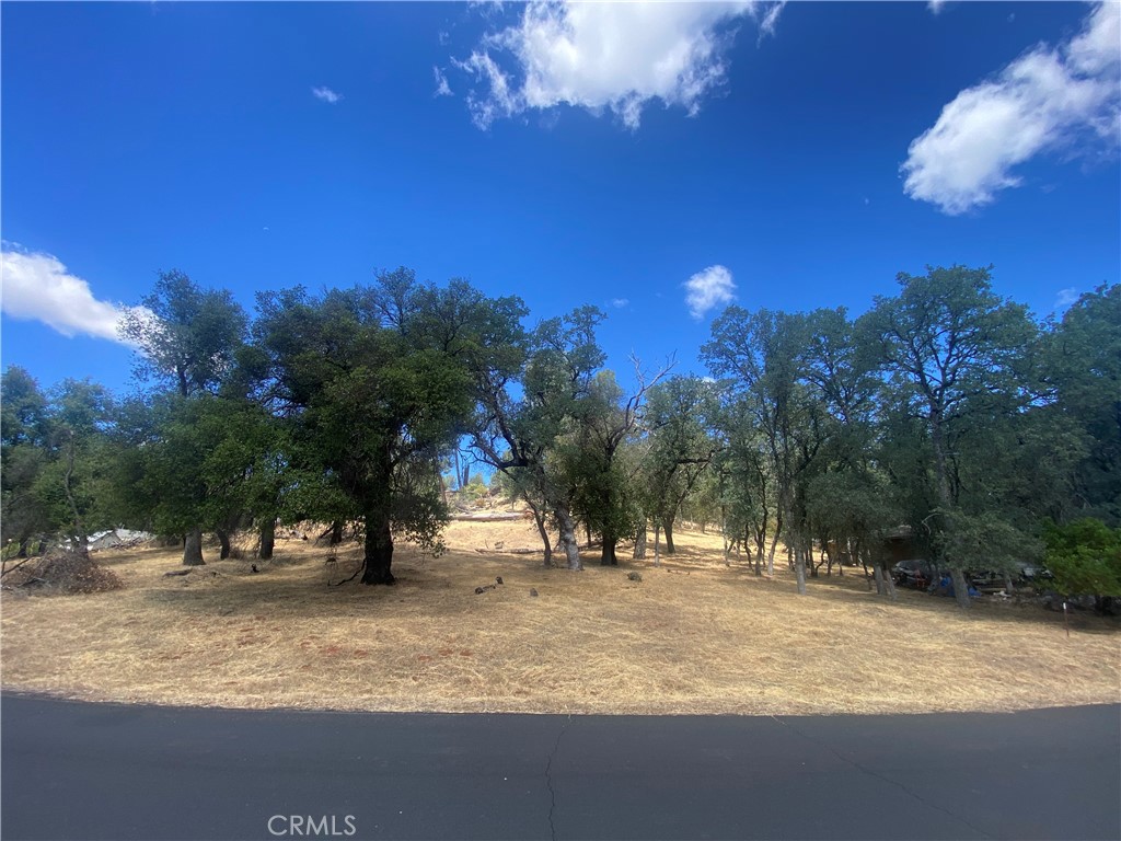 20393 Powder Horn Road Hidden Valley Lake, CA 95467 - Photo 6 of 8 a view of road with trees