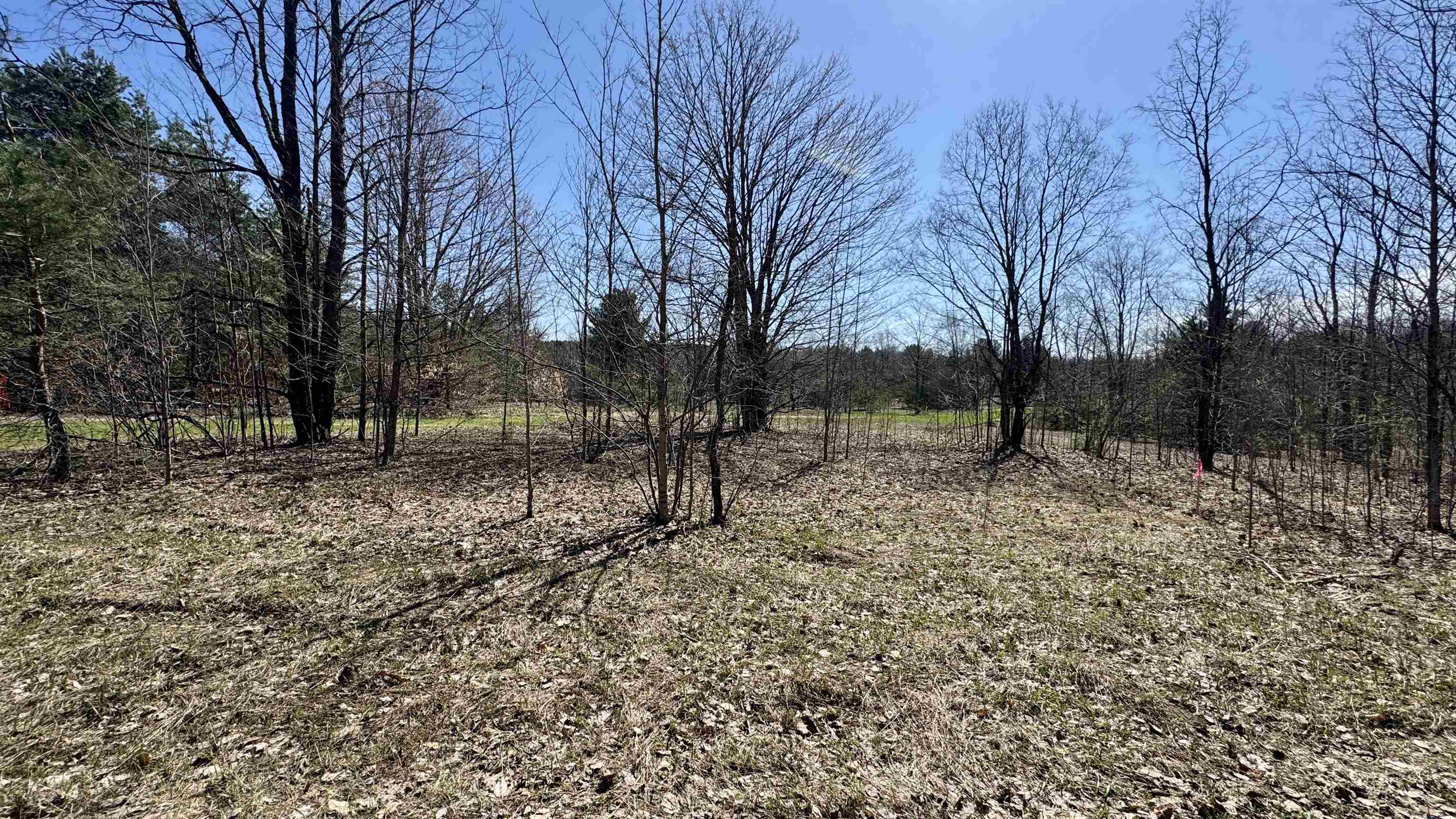 0 North 1st Road, Unit PARCEL C Buckley, MI 49620 - Photo 3 of 7