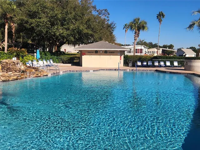 a view of yard with tree in it