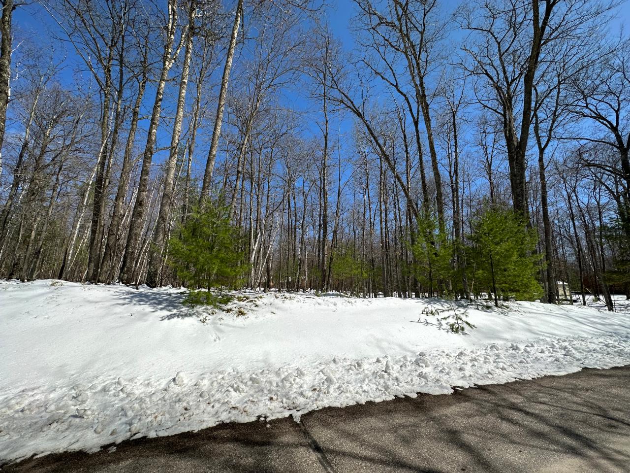 On Yellow Birch Road Eagle River, WI 54521 - Photo 6 of 9 Gallery Image 6