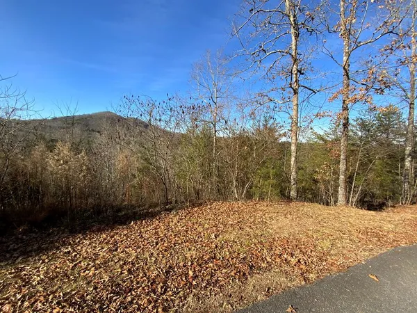 $26,000 | 0 Brasstown View Road, Murphy, NC 28906