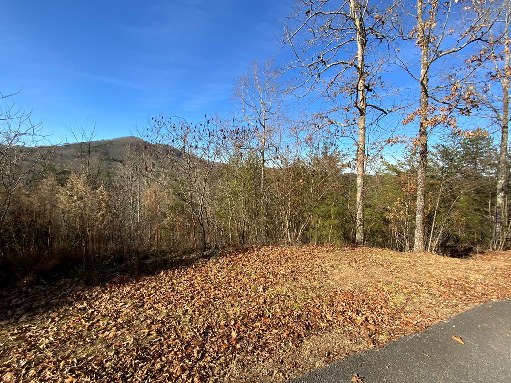 0 Brasstown View Road Murphy, NC 28906 - Photo 1 of 12 Main View