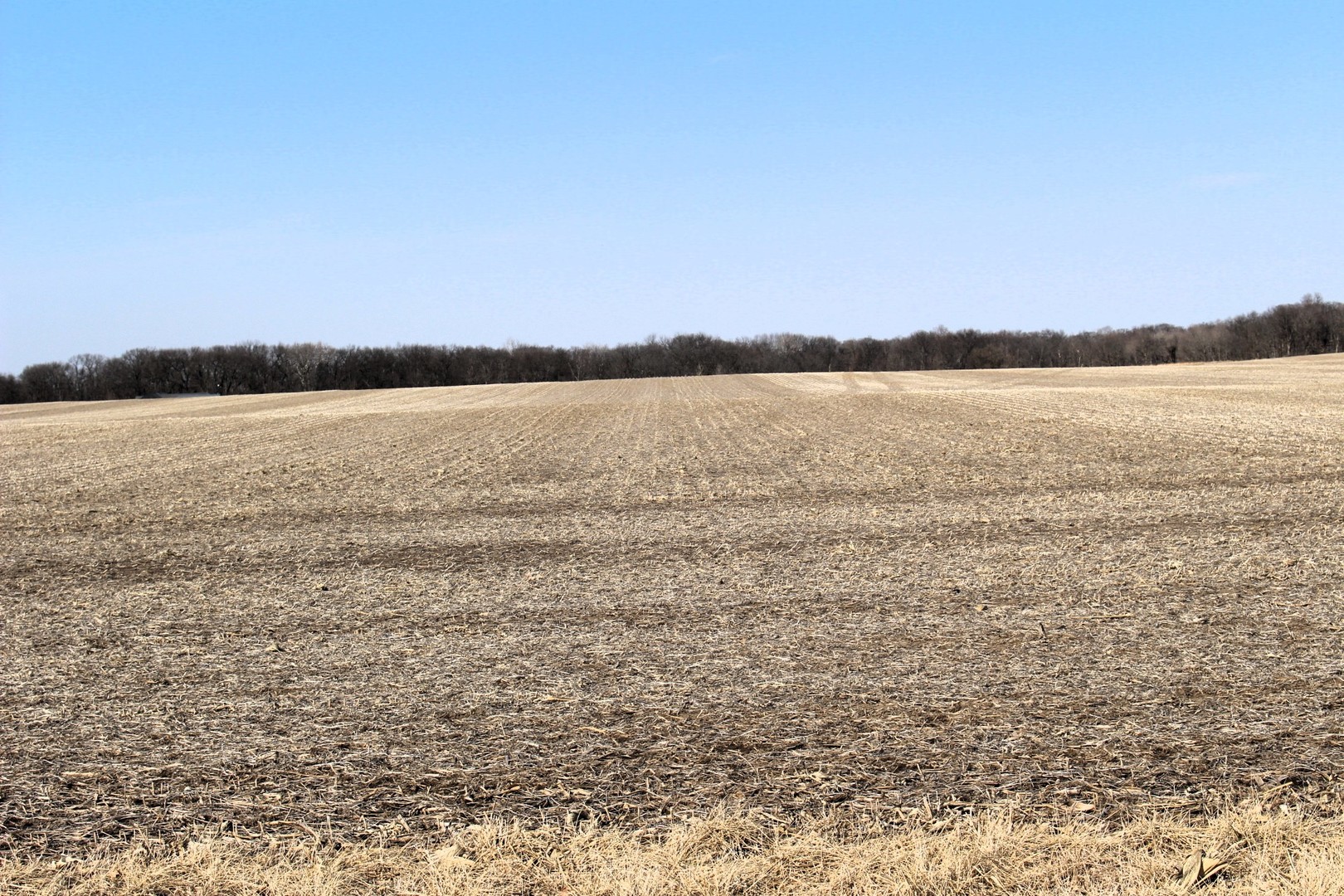 6200 Carl Springs Road Wapella, IL 61777 - Photo 2 of 3