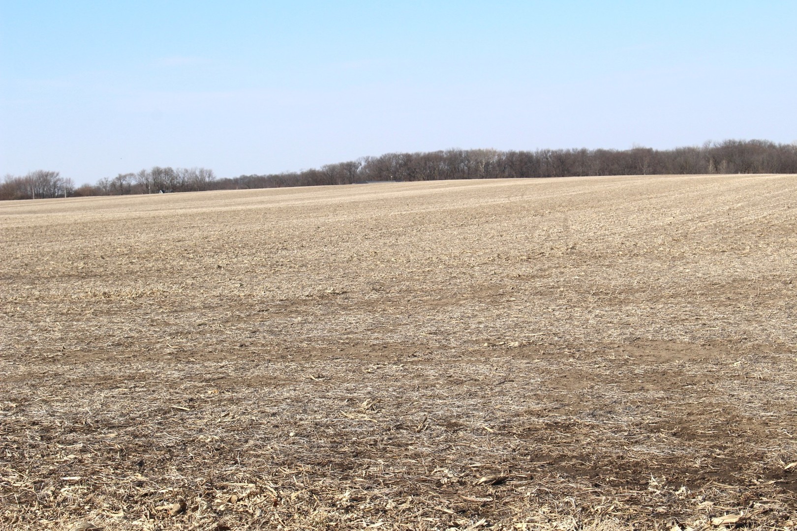6200 Carl Springs Road Wapella, IL 61777 - Photo 3 of 3