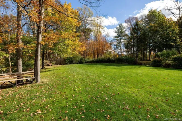 a view of a yard with a tree