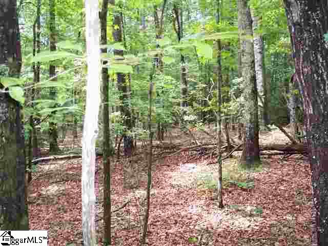 Curts Way, Unit TRACT 20 Cleveland, SC 29635 - Photo 2 of 10 Gallery Image 2