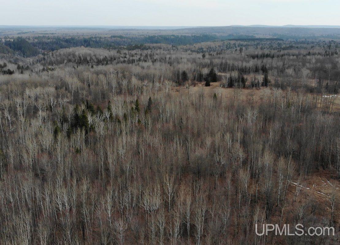 20 Grenlund Road Bruce Crossing, MI 49912 - Photo 4 of 18