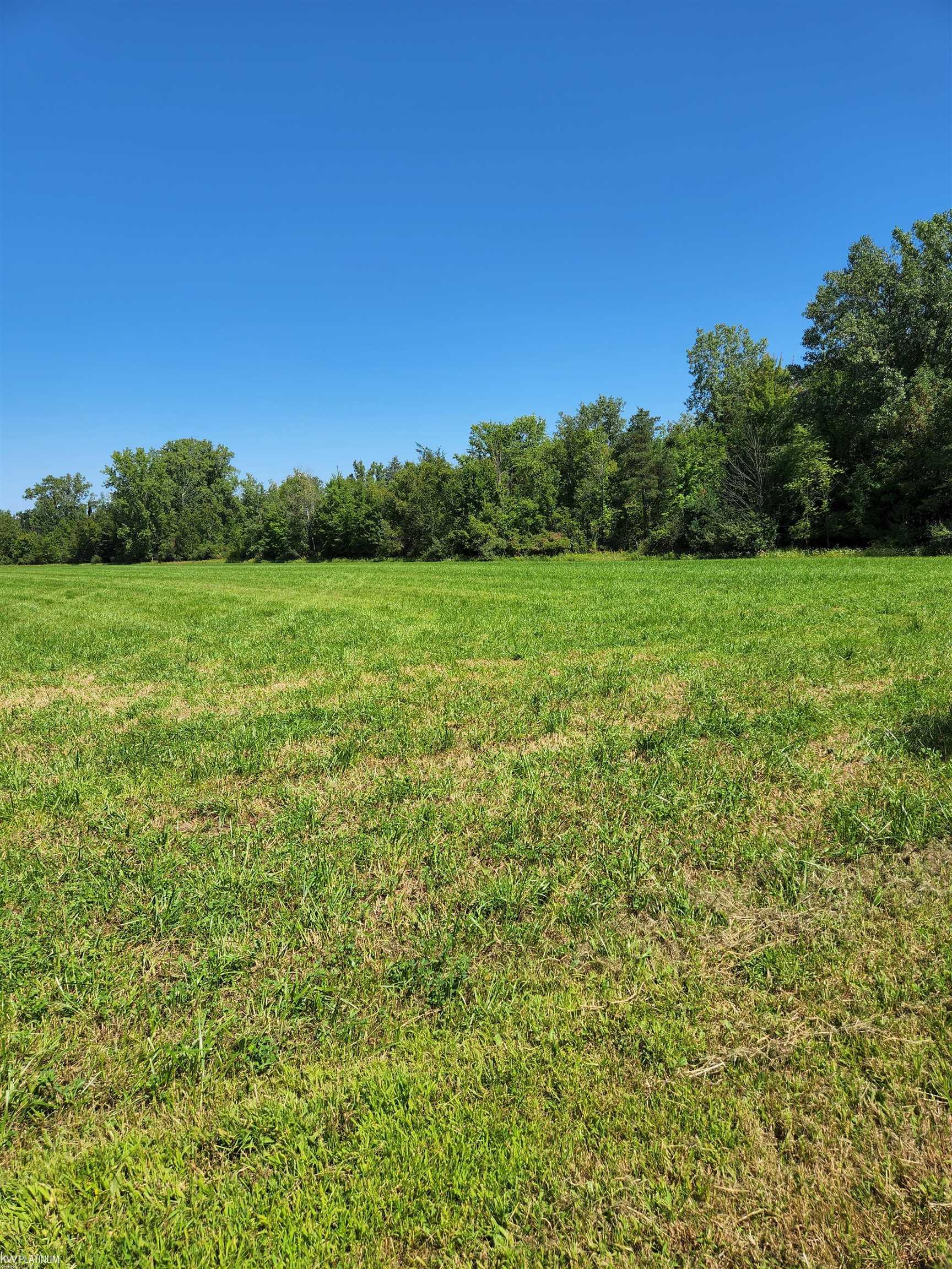 0 West Snover Road Mayville, MI 48744 - Photo 6 of 12 Gallery Image 6