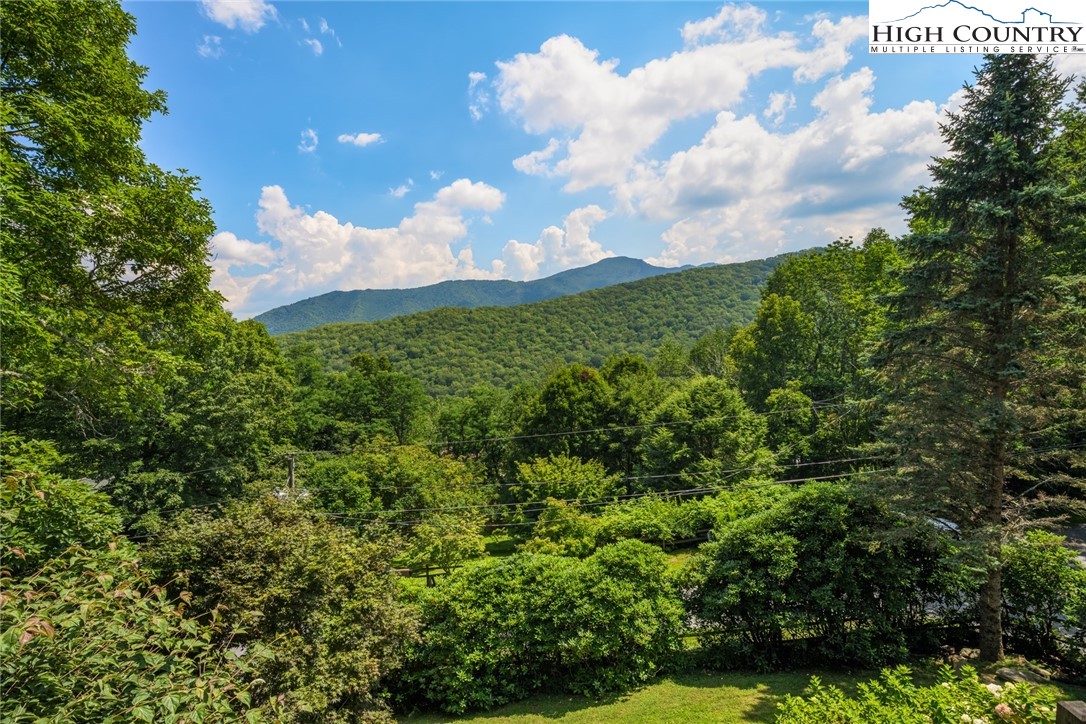 281 Cliffside Lane Seven Devils, NC 28604 - Photo 25 of 29 a view of a bunch of trees