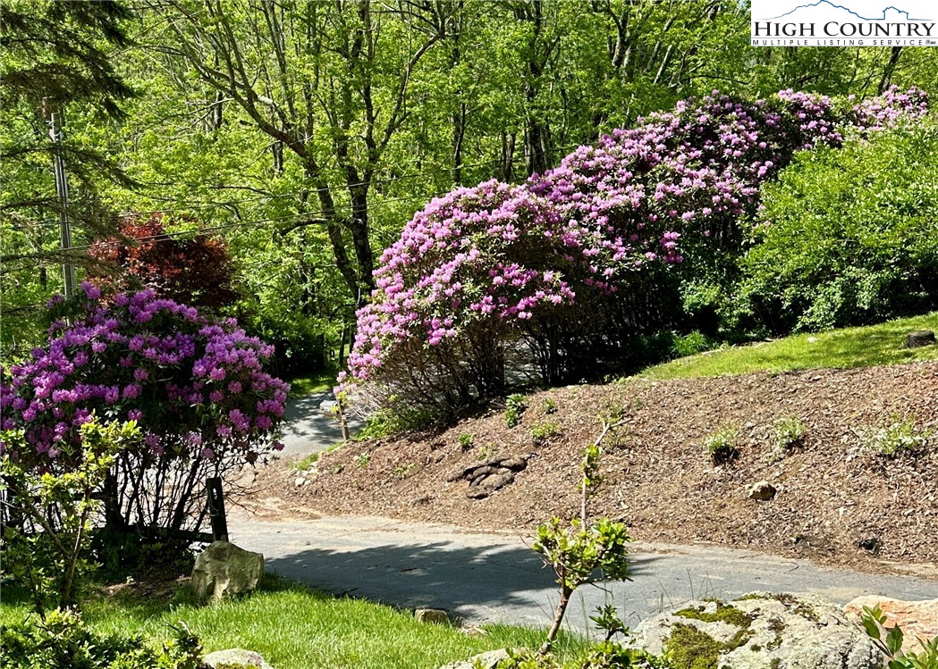 281 Cliffside Lane Seven Devils, NC 28604 - Photo 28 of 29 a view of a garden with pathway