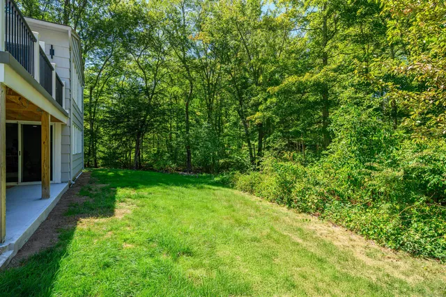 a view of a yard with plants and large trees