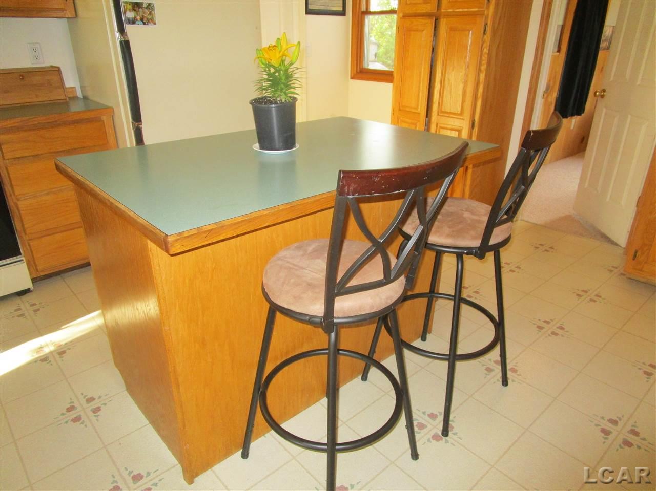 11727 Rexford Road Manitou Beach, MI 49253 - Photo 11 of 34 31379831-10.JPG