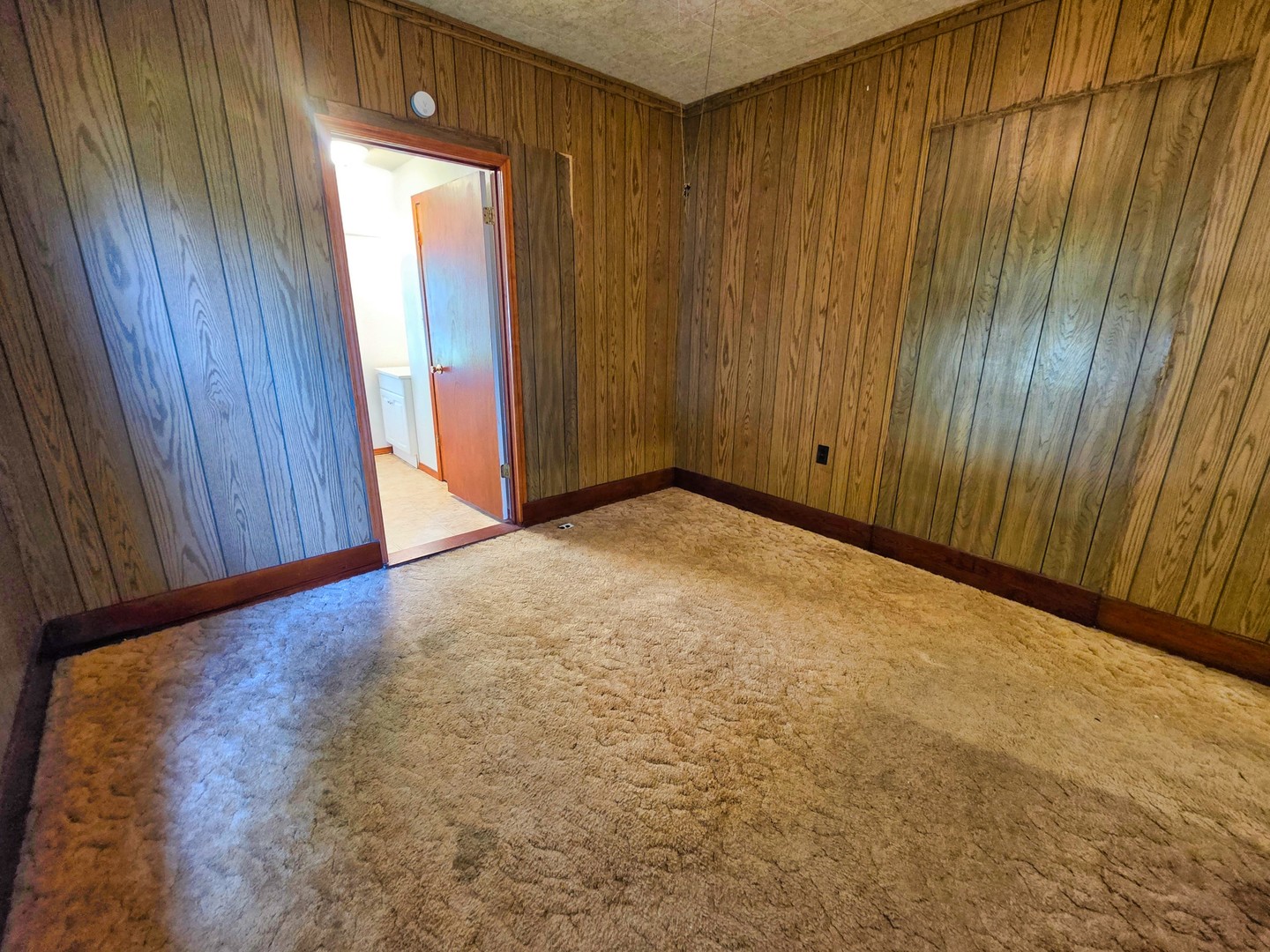 203 Fair Avenue Flora, IL 62839 - Photo 27 of 77