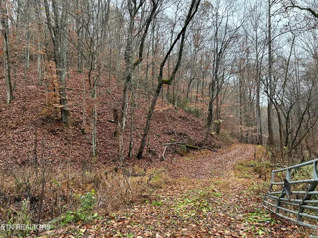 $99,000 | 61 East E Highway, Maynardville, TN 37807