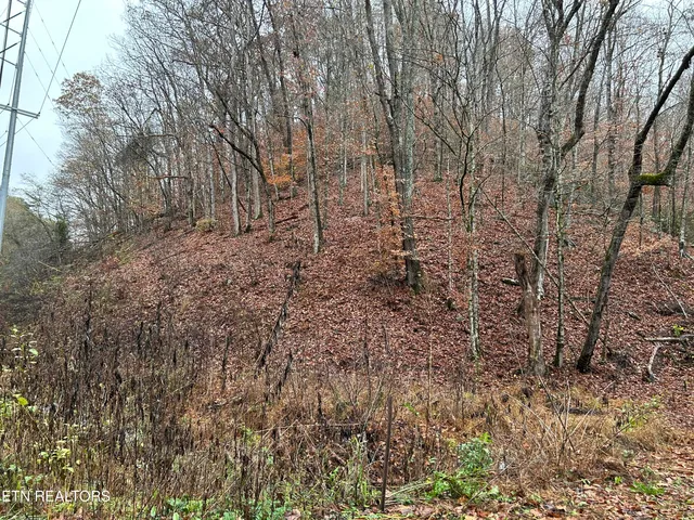 $99,000 | 61 East E Highway, Maynardville, TN 37807