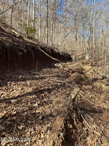 $99,000 | 61 East E Highway, Maynardville, TN 37807