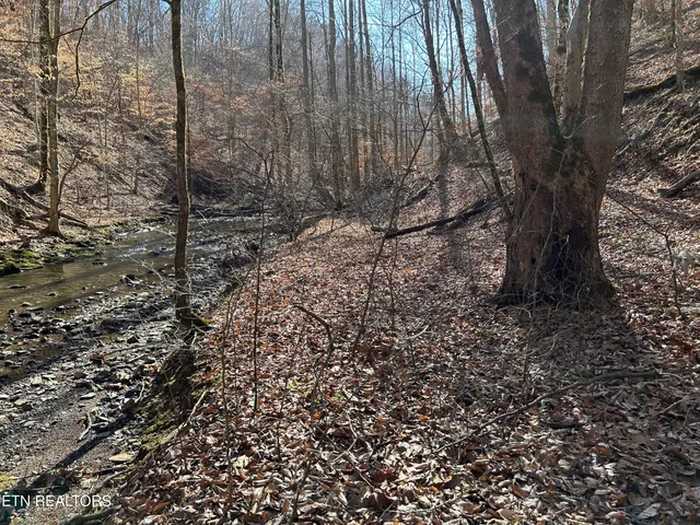 $99,000 | 61 East E Highway, Maynardville, TN 37807