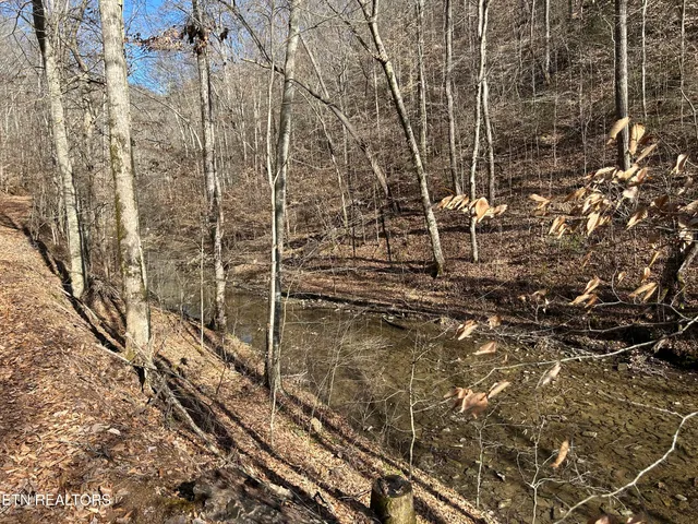 $99,000 | 61 East E Highway, Maynardville, TN 37807