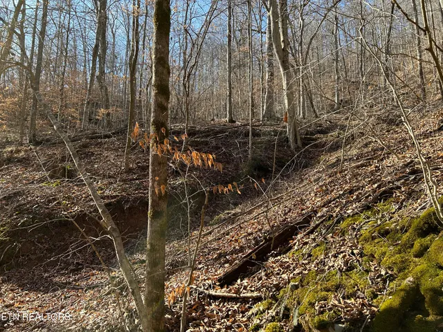 $99,000 | 61 East E Highway, Maynardville, TN 37807