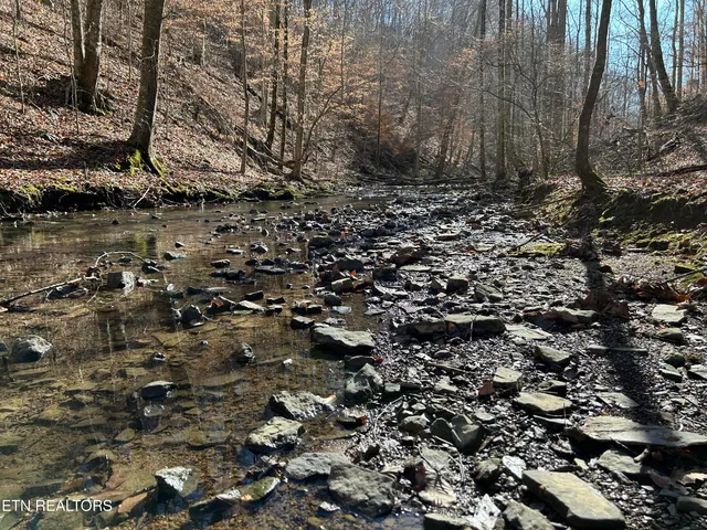 $99,000 | 61 East E Highway, Maynardville, TN 37807