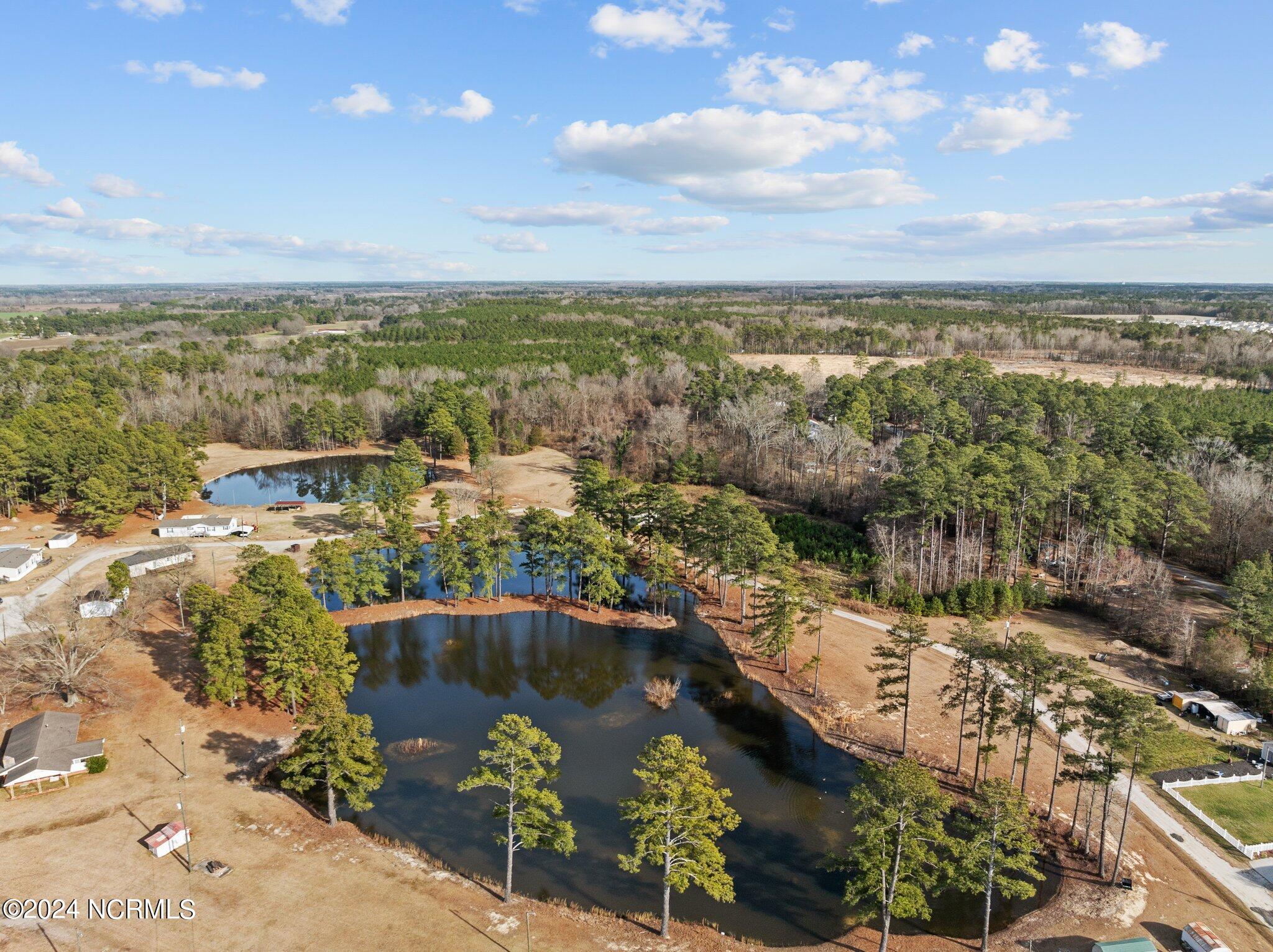 1800 Springfield Road Rocky Mount, NC 27801 - Photo 37 of 39 37-web-or-mls-DJI_0870