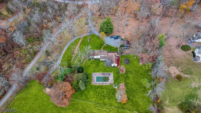 a view of a garden with plants