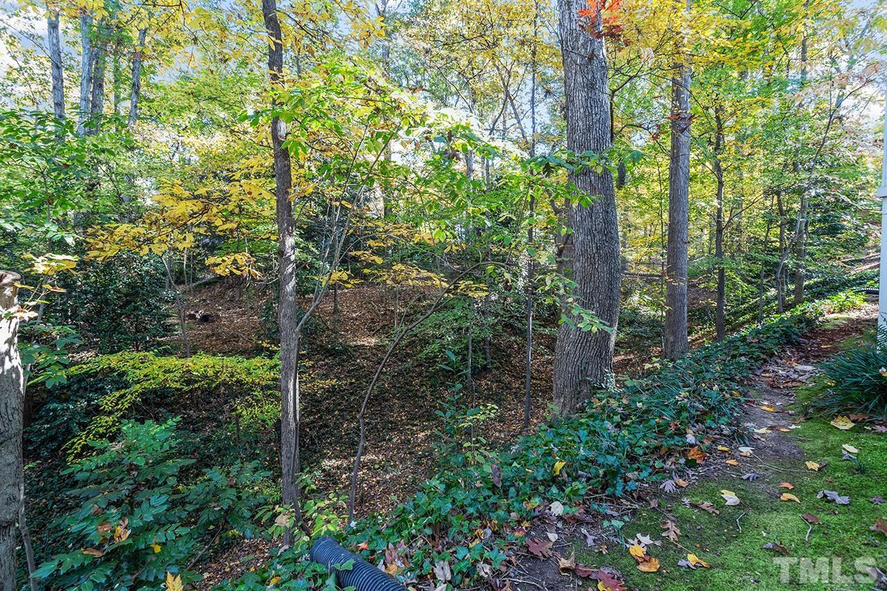 2408 Wentworth Street Raleigh, NC 27612 - Photo 33 of 33 a plant view in yard