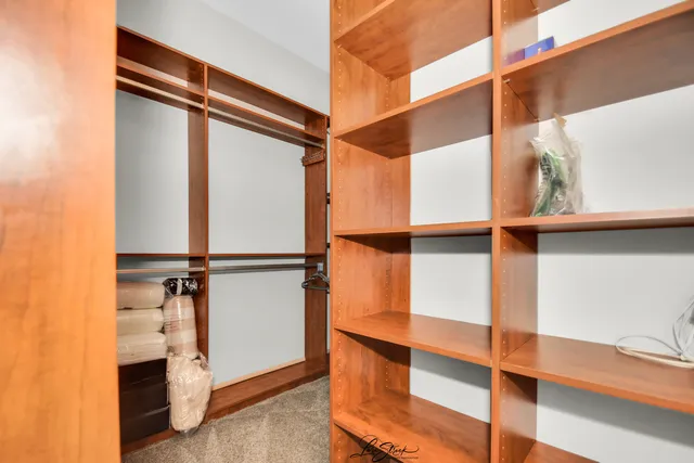 a living room with a couch and a potted plant