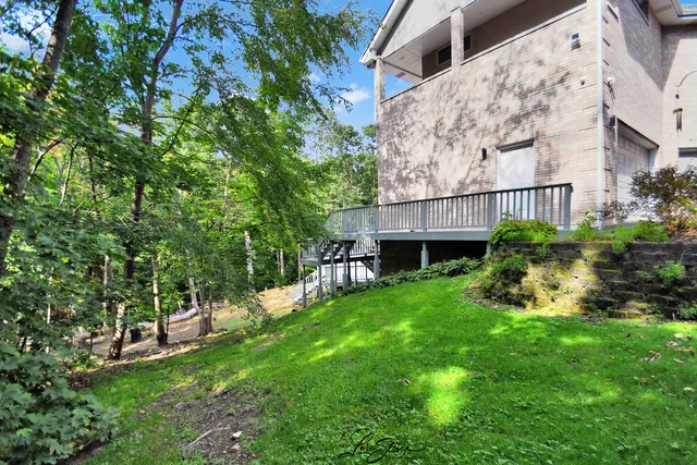 a view of a backyard with plants and large trees