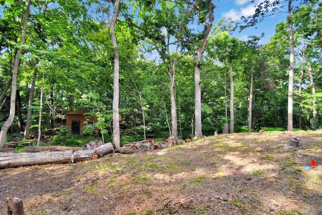 $985,000 | 20602 Abbey Drive, Frankfort, IL 60423