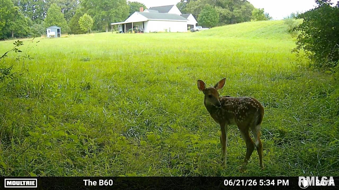 9081 Old State Rte 14 Du Quoin, IL 62832 - Photo 64 of 67