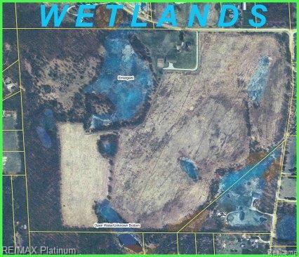 19027 Williamsville Road Gregory, MI 48137 - Photo 4 of 9 MLS WETLANDS
