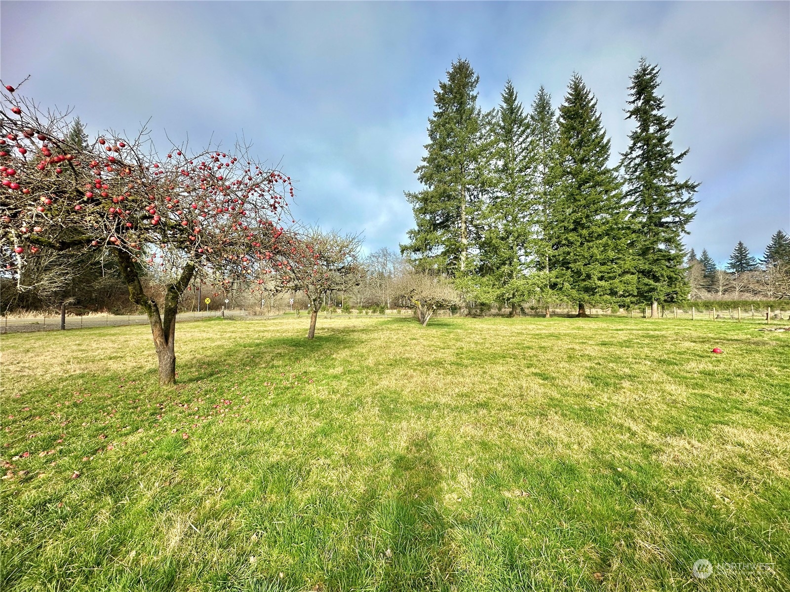 19 Winkleman Road South Montesano, WA 98563 - Photo 30 of 37 Gallery Image 30