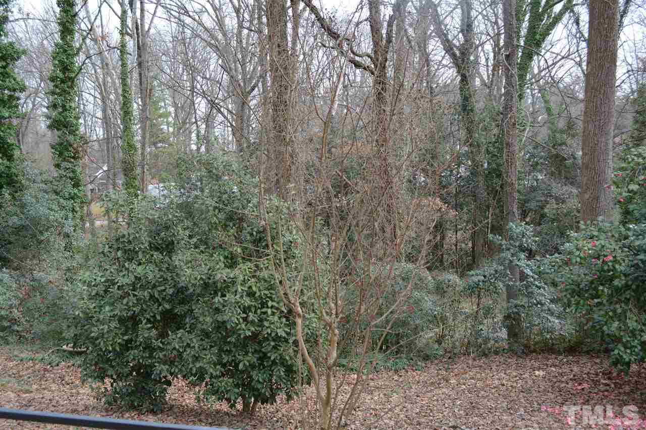 2604 Patrick Road Raleigh, NC 27604 - Photo 9 of 9 a view of a forest with trees in the background