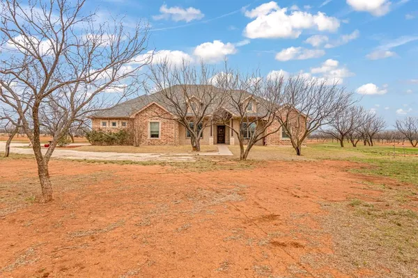 a view of a yard with an trees