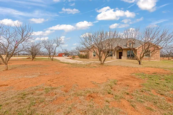 a view of a town with large trees