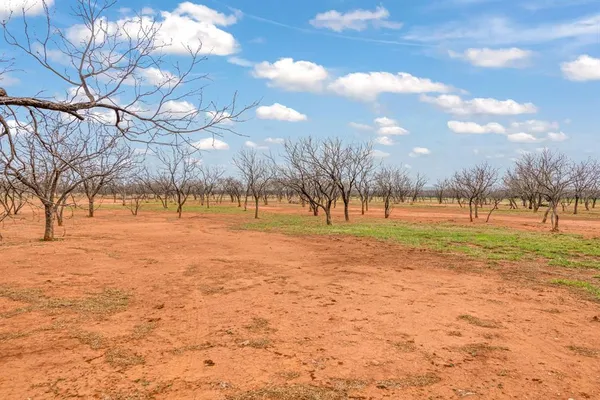 a view of open space with city view