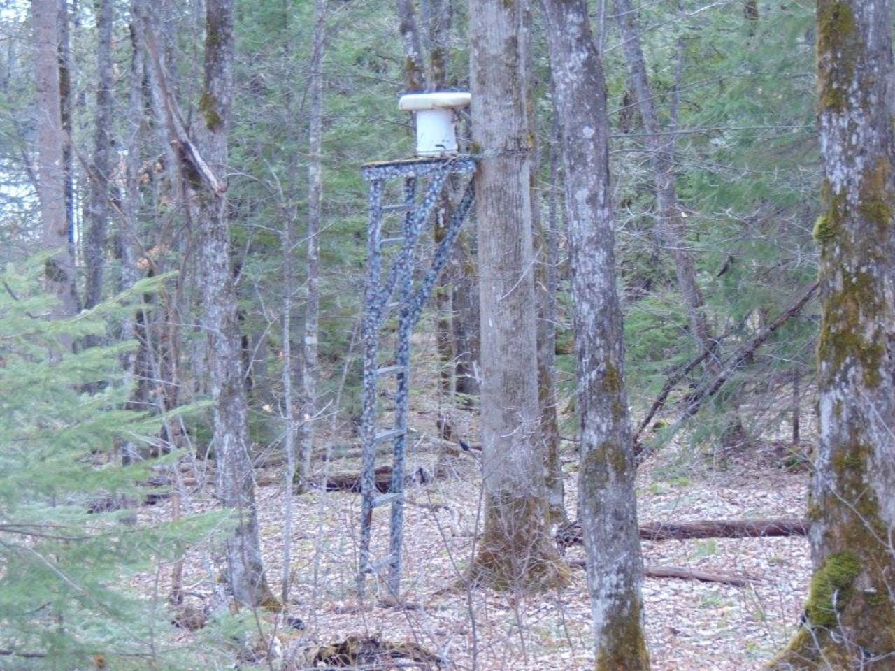 8064 Powderhorn Road Presque Isle, WI 54557 - Photo 23 of 26 Gallery Image 23