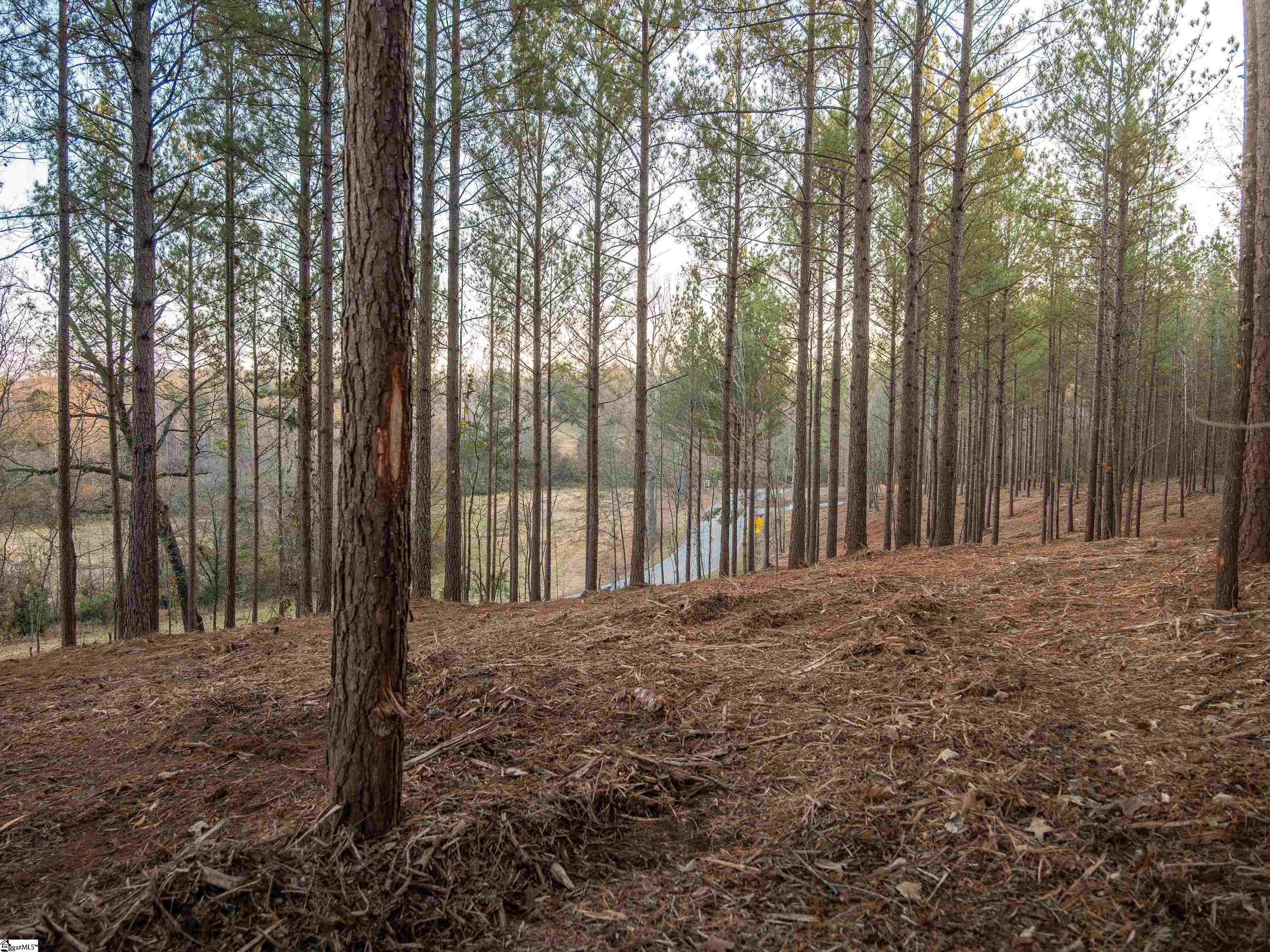 2 Concord Church Road Pickens, SC 29671 - Photo 20 of 22