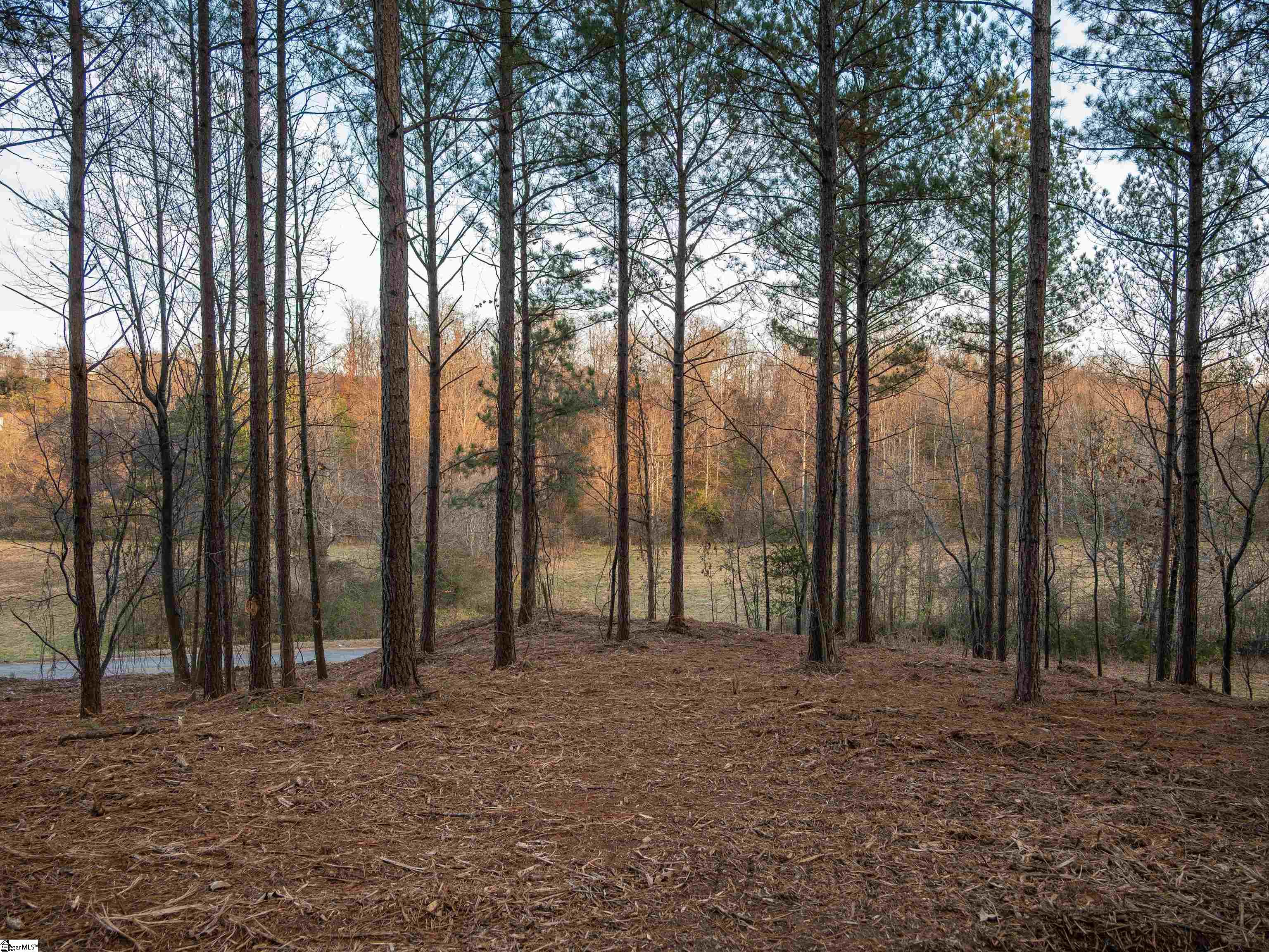 2 Concord Church Road Pickens, SC 29671 - Photo 8 of 22