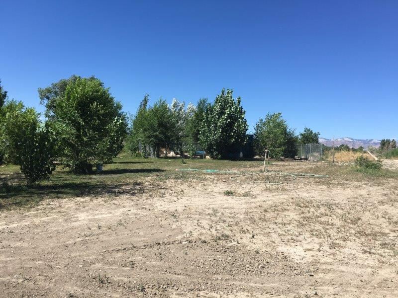 1220-17 17 1/2 Road Fruita, CO 81521 - Photo 29 of 30 Gallery Image 29