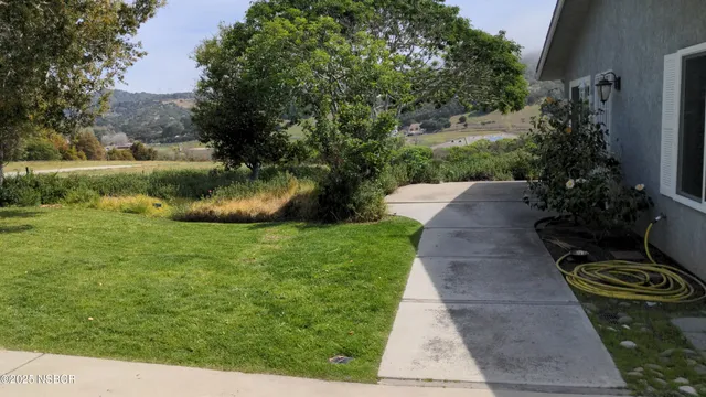 a view of a backyard with potted plants and large trees