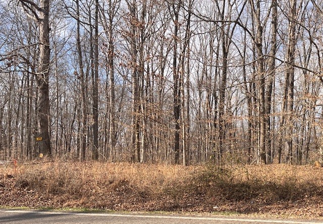 0 Mt Pleasant Road Kingston Springs, TN 37082 - Photo 7 of 9 a view of a dry yard